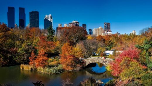 New York Central Park - How to meet compliance with Local Law 97 NYC