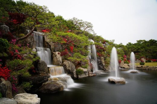 Water garden and landscape with aquatic plants