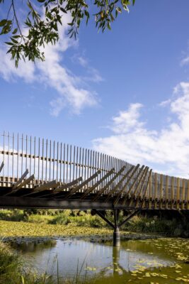 Centennial Parklands Bridge NSW