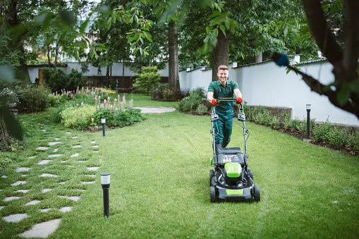 Choose the Best Lawn Care Business