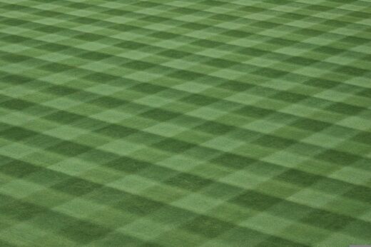 DIY lawn care plan that is easy to maintain
