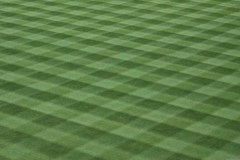 diy-lawn-care-plan-that-is-easy-to-maintain-e-architect