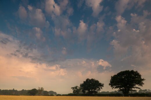 Essex England landscape trees