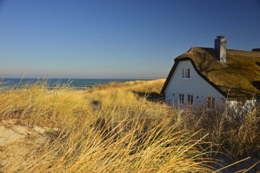 Green sustainable housing: nature house