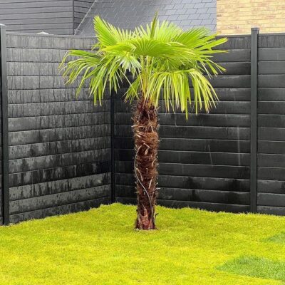 How different weather conditions affect fence screening