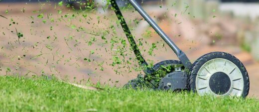 Reasons to Mow Your Lawn with a Lawnmower