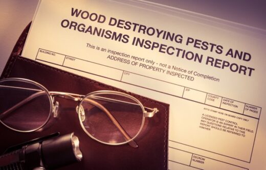 What are components of a pest inspection