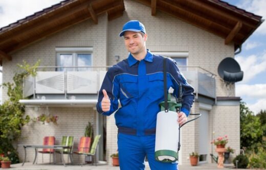 What are components of a pest inspection