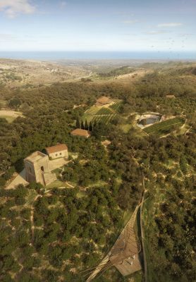 Colle degli Agrumi – Citrus Hill Sicily