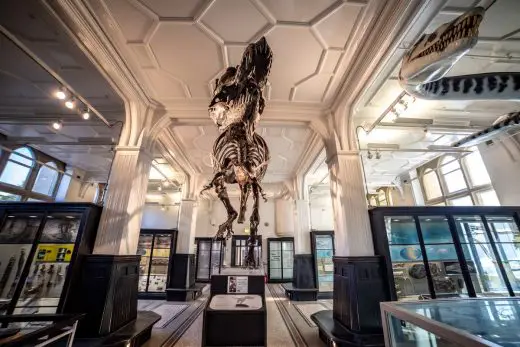 T Rex at Manchester Museum