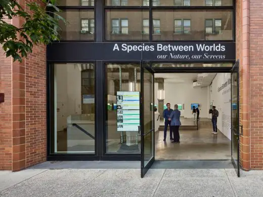 A Species Between Worlds NY Exhibition Space