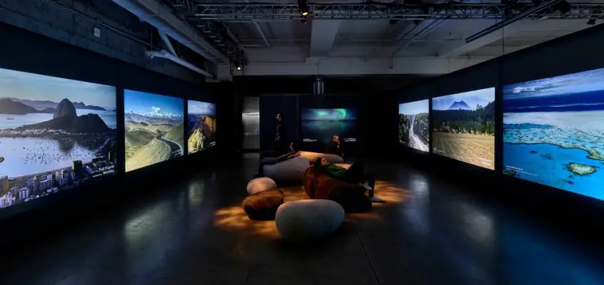 A Species Between Worlds, NY Exhibition Space