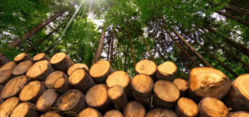 English woodlands construction resource news