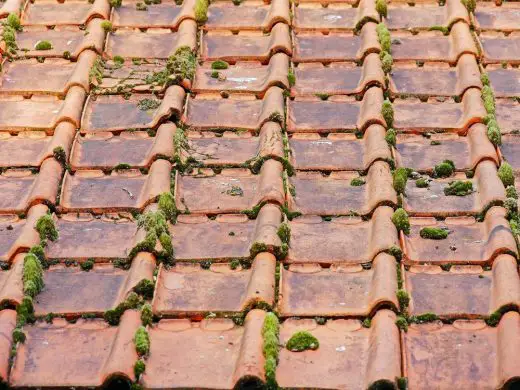 Signs Your Restaurant's Roof Needs to be Replaced
