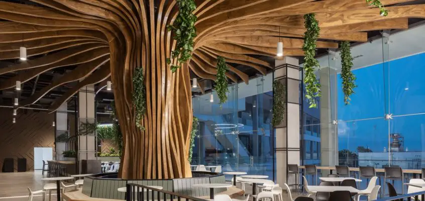 Konare food court, Catehua, Monterrey, Mexico