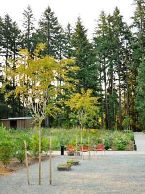 Leach Botanical Garden Portland USA