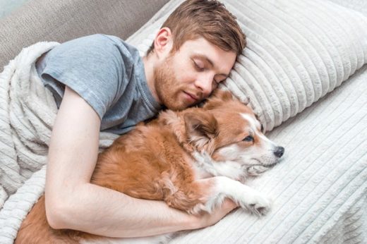 Sleeping in Bed with your Dog
