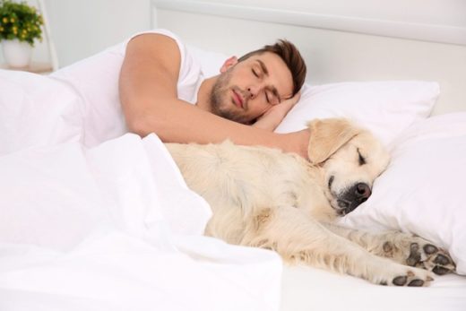 Sleeping in Bed with your Dog