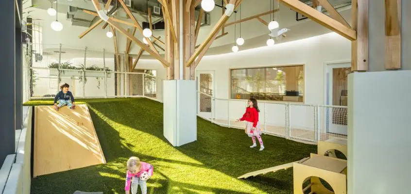 Wonderforest Nature Preschool Brooklyn, United States