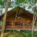 Black Pond Tavern and Acta Brasserie Senayan Jakarta