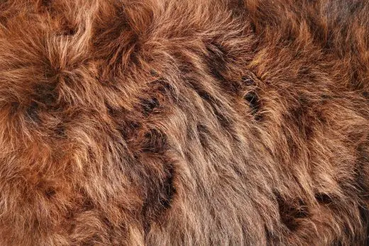 Different types of cowhide rugs