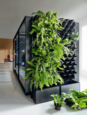 nature wall hushoffice greenwall