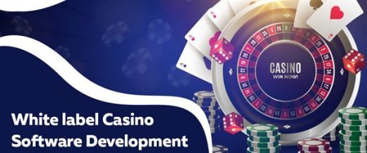 Customizing Your White Label Online Casino
