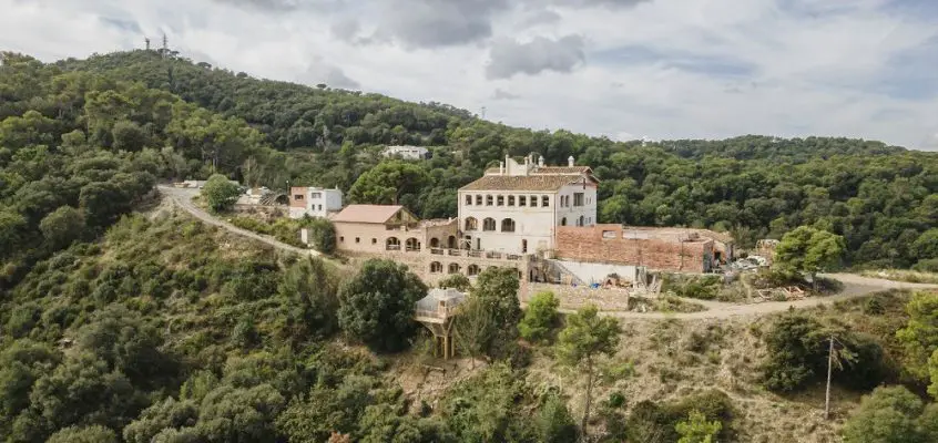 FLORA, Collserola Natural Park, Barcelona, Spain