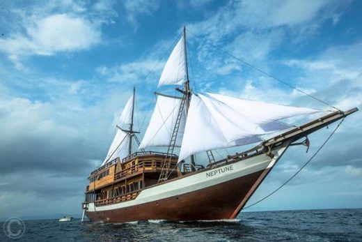 Liveaboard Diving in Indonesia Guide