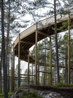 The Treetop Walk Fyresdal