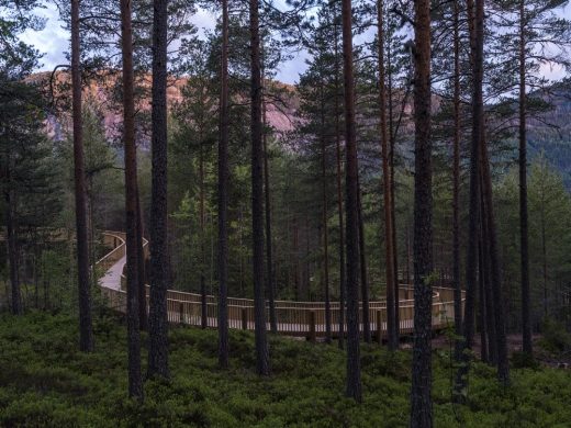The Treetop Walk Fyresdal Norway