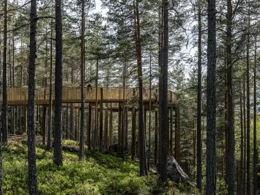 The Treetop Walk Hamaren Activity Park