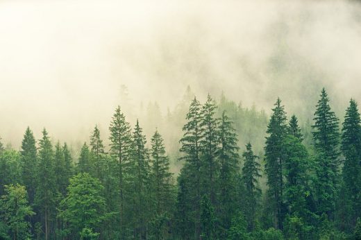 Unlocking the Beauty of Castle Pines