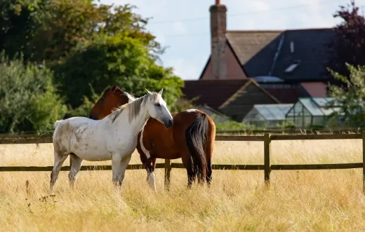 Constructing quality farmstead outbuildings - horses field