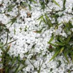 The impact of hail storms on your roof