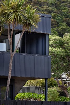 Hinau Street House and Apartment New Zealand