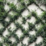 How to build an Indoor Garden Wall avoiding common errors