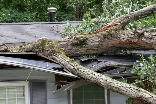 How to Spot Early Signs of Roof Damage