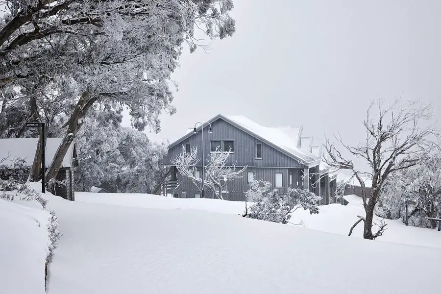 Mt Buller