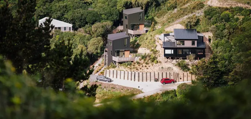 The Twins, Wellington, NZ homes