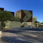Timber Cube Arizona building design