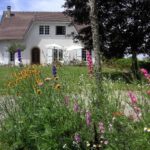 Home improvement and gardening relationship - cottage garden flowers