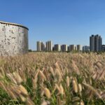 Sino-Singapore Friendship Park Tianjin Eco-City