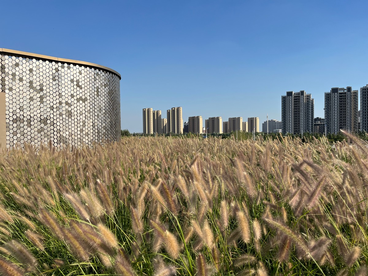 Sino-Singapore Friendship Park Tianjin Eco-City