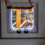 Top Pet Doors for Screen Installations