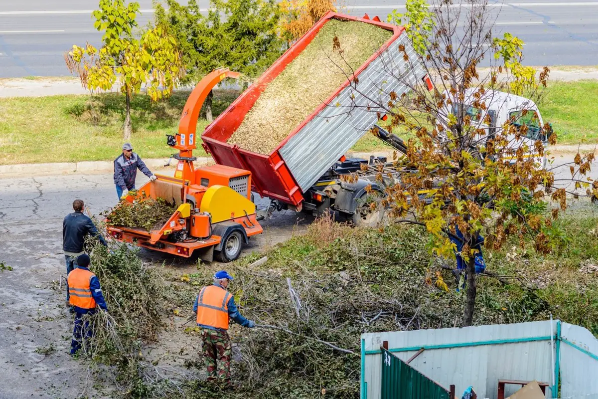Commercial and residential tree services home clearing garden
