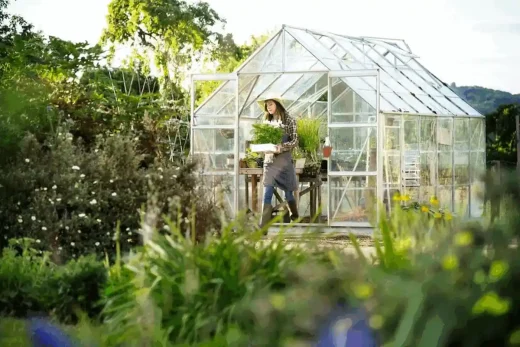 Types of greenhouse windows