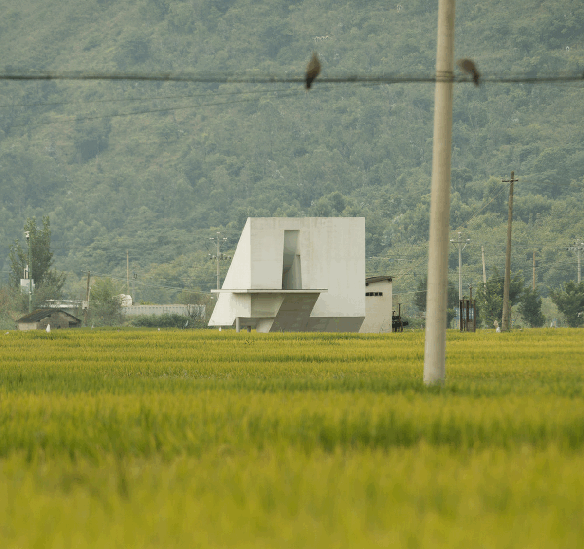 Concrete Pavilion Yunnan