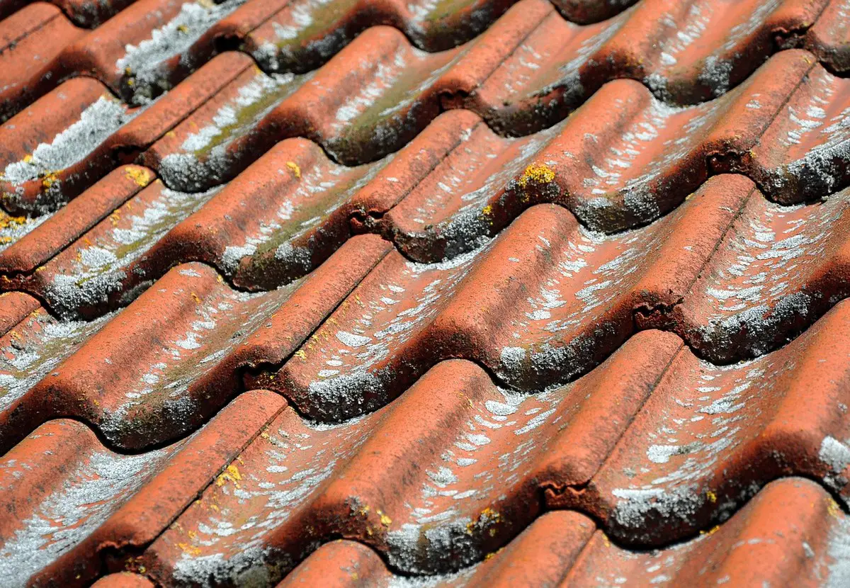 Roof maintenance checklist every homeowner needs