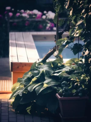 garden tub home plants